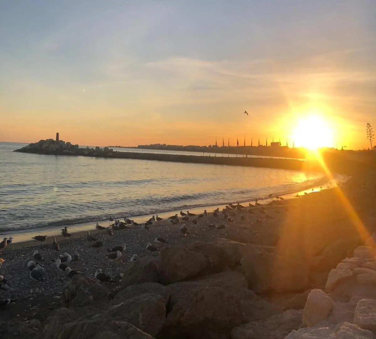 Apartment Torre Del Mar Apto 100 M Playa Piscina Wifi 1 Hab